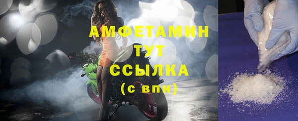 гашик Няндома