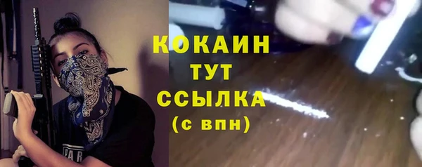 гашик Няндома