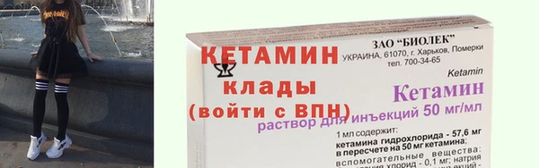 гашик Няндома