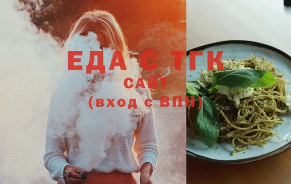 гашик Няндома