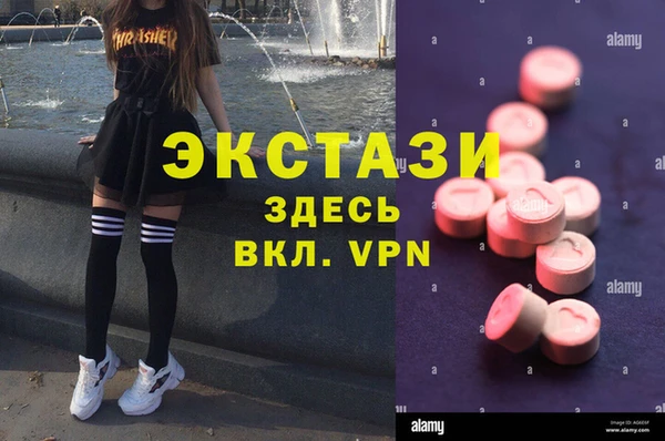 гашик Няндома