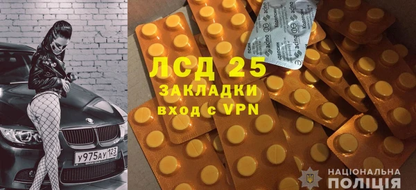 гашик Няндома