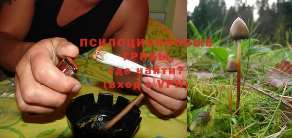 гашик Няндома