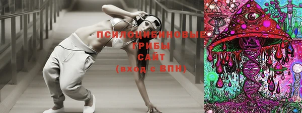 гашик Няндома