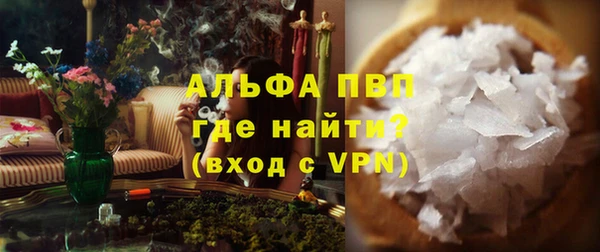 гашик Няндома